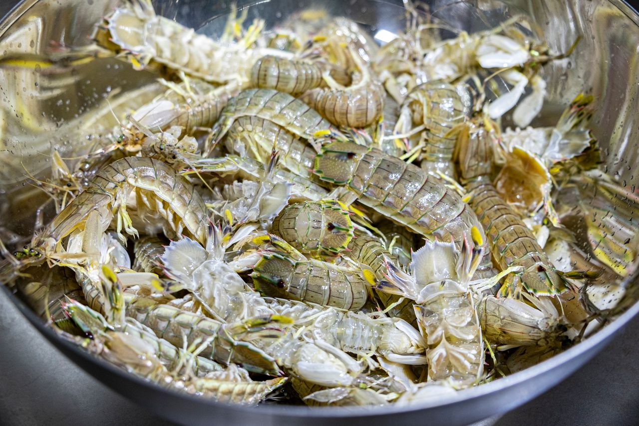 许大姐的菜